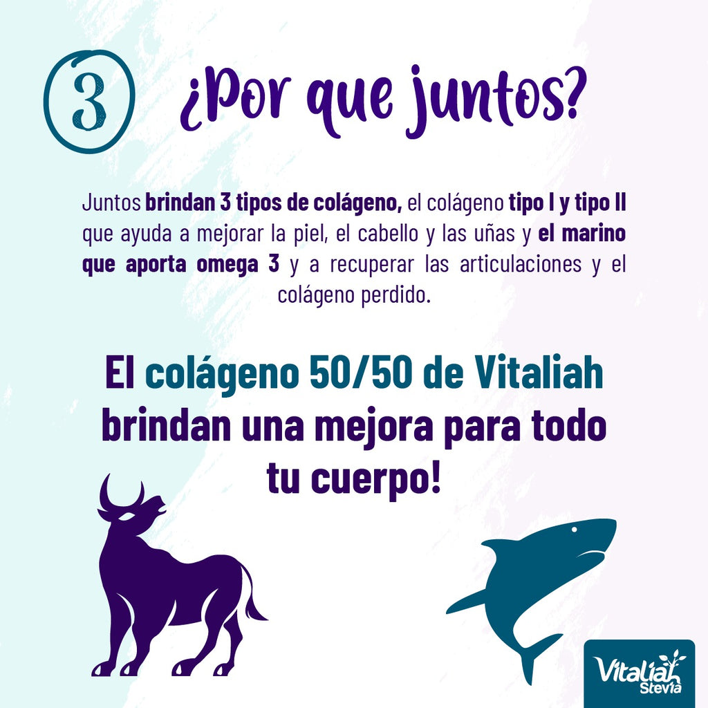 COLAGENO 50/50