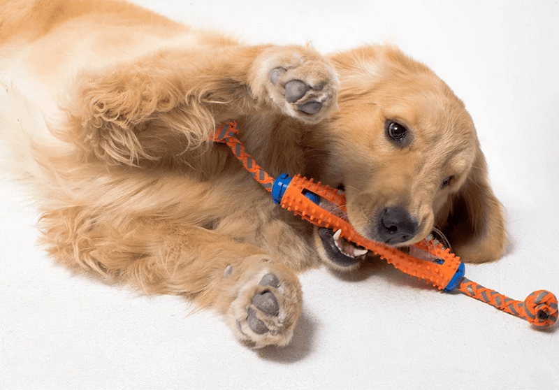 juguete para perros tug and brush limpiador de dientes