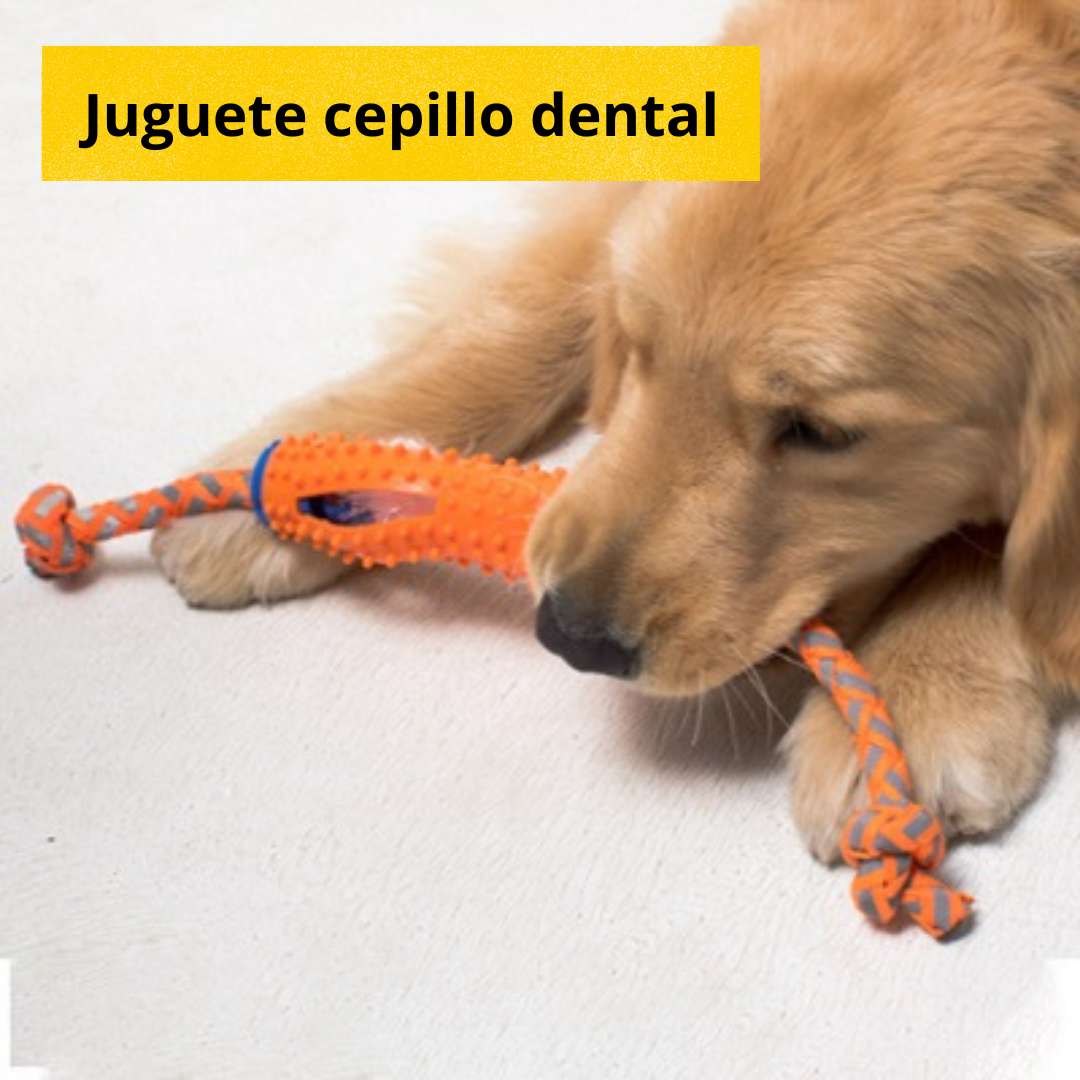 juguete para perros tug and brush limpiador de dientes